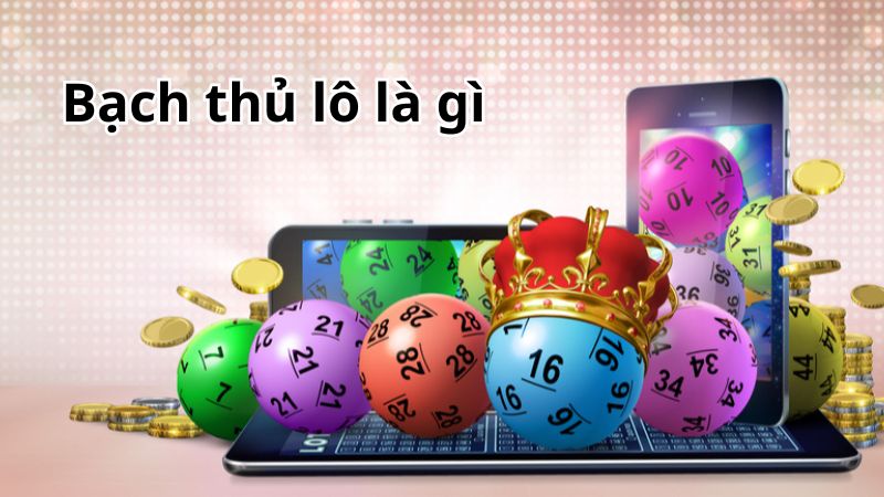 Bạch thủ lô là gì