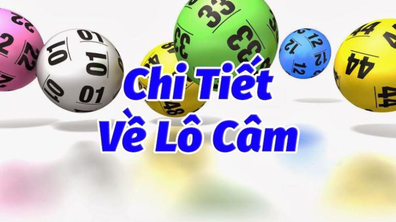 Lô câm là gì